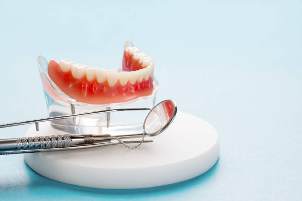 Professional Holistic Dental Care Services in Caldwell, NJ